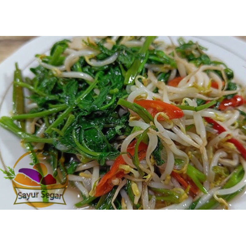 

Sayur Segar Siap Saji Kangkung Tauge Tumis