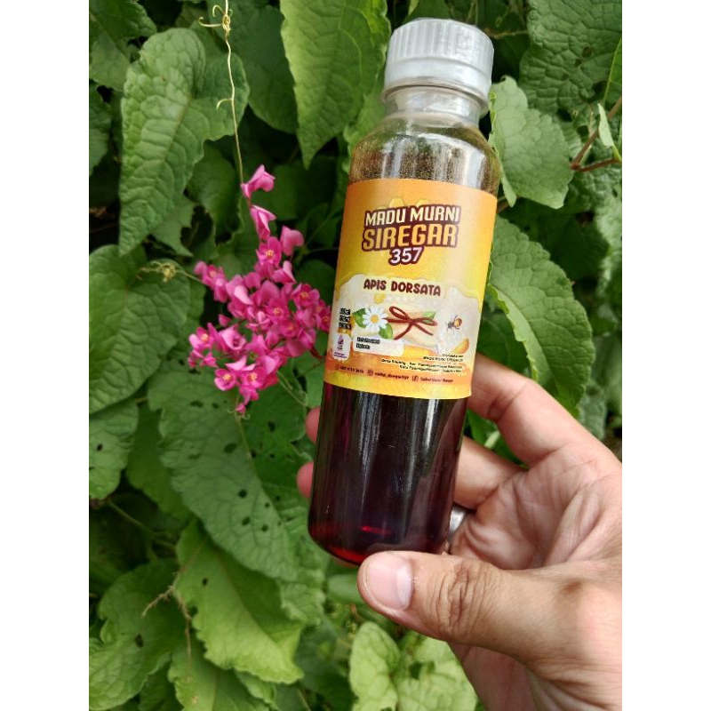 

Madu Hutan 250 Ml