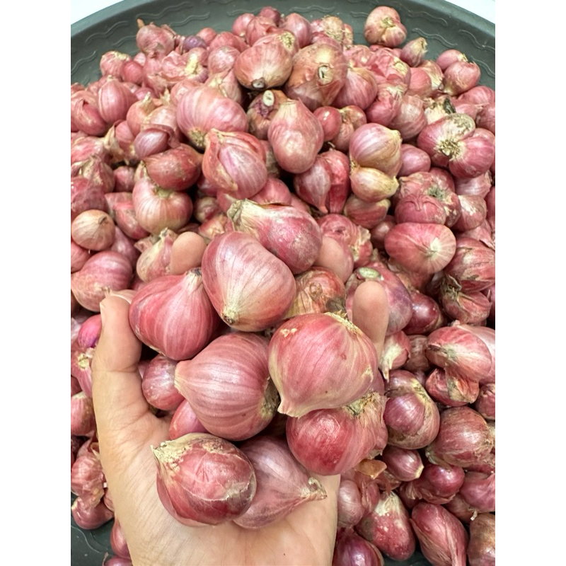 

bawang merah super 500gr petani banyuwangi