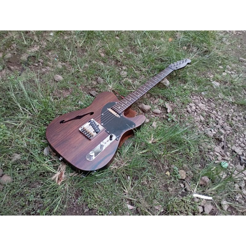 Gitar Fender Telecaster Thinline Exotic Rosewood