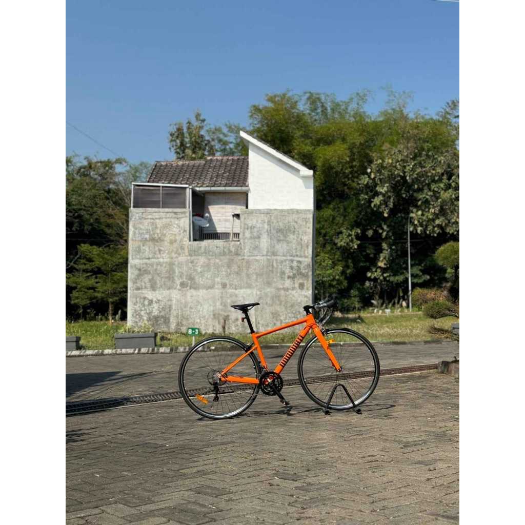 ROADBIKE+DOMINATE+RR