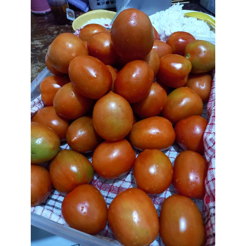

Tomat 1kg