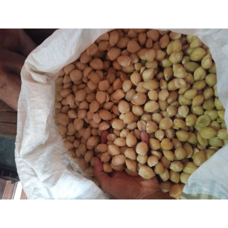 

Kemiri Bulat Utuh Mulai 250 gram 15000