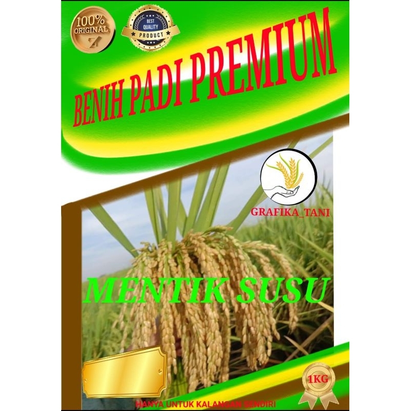 Benih padi mentik wangi susu, mentik susu kemasan 1kg original