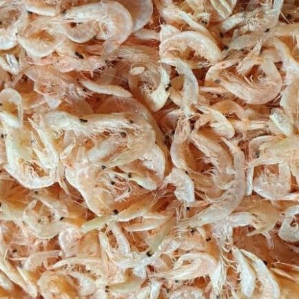 

TERMURAH UDANG DRAGO/UDANG KERING/UDANG PEYEK 500 GRAM