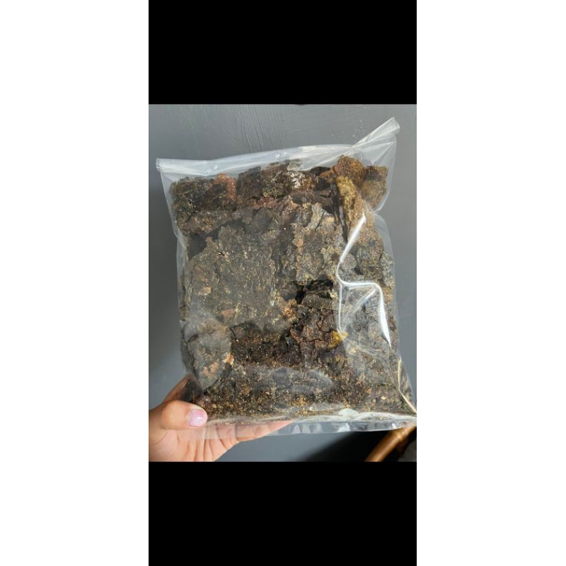 

NORI PATAHAN