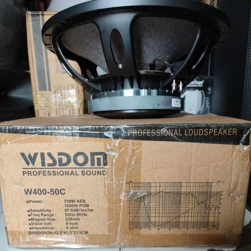 SPEAKER WISDOM W400-50C