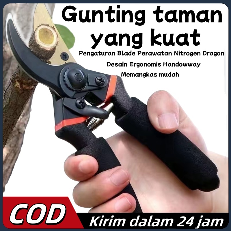 Dahan gunting taman tanaman rumput kebun gunting gunting taman kecil pemangkas tanam gunting okulasi