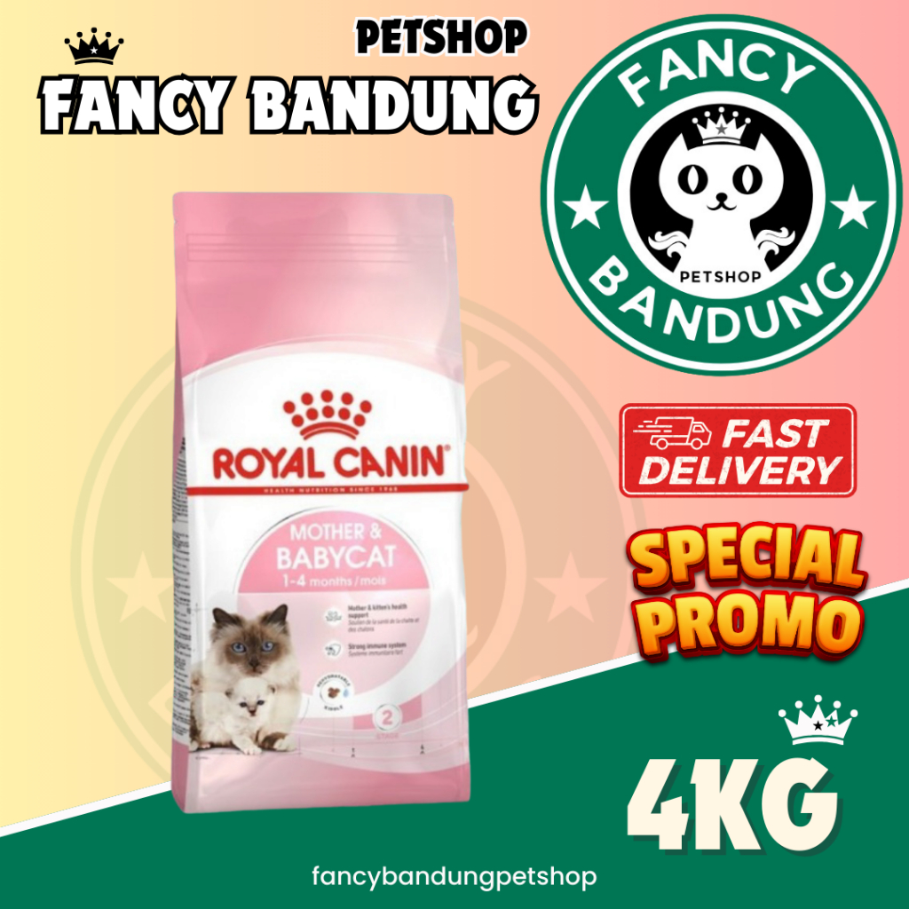 Royal Canin Mother Baby Cat 4kg