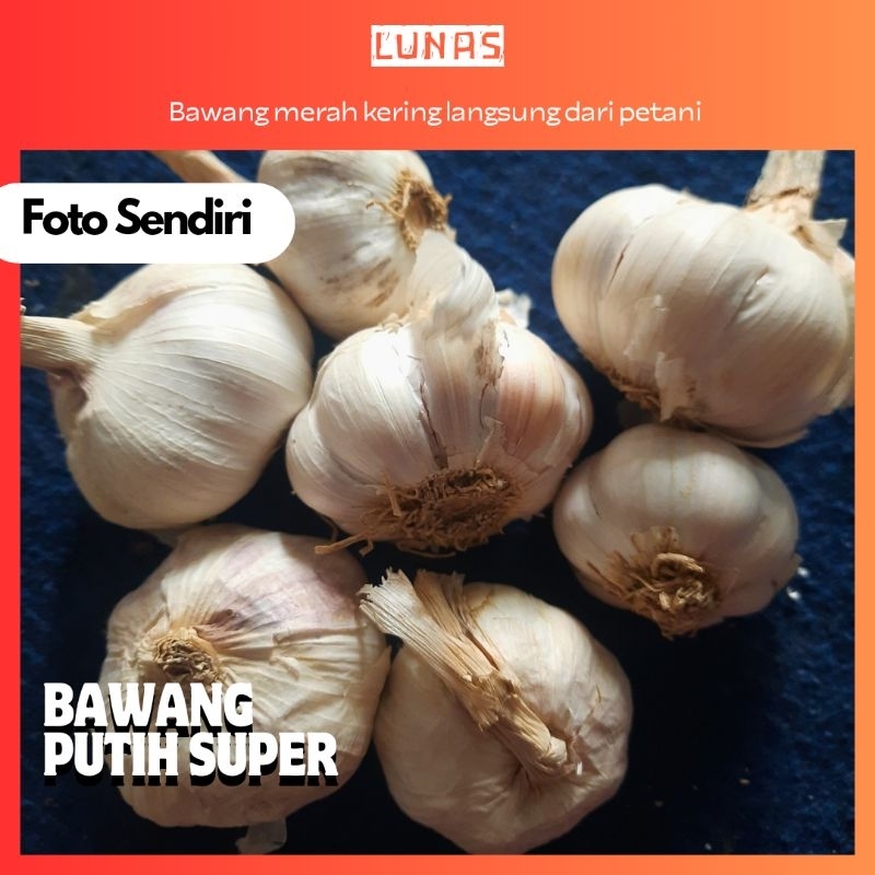 

Jual Bawang Putih Honan | Bawang Putih Murah | Bawang putih Honan | Bumbu Dapur Murah | Bumbu murah