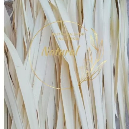 

DAUN LONTAR / SIWALAN / ENTAL 5cm LEBAR FULL