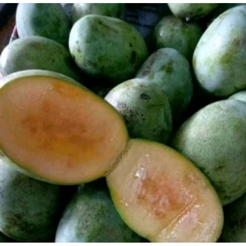 

MANGGA MANALAGI 1 kg