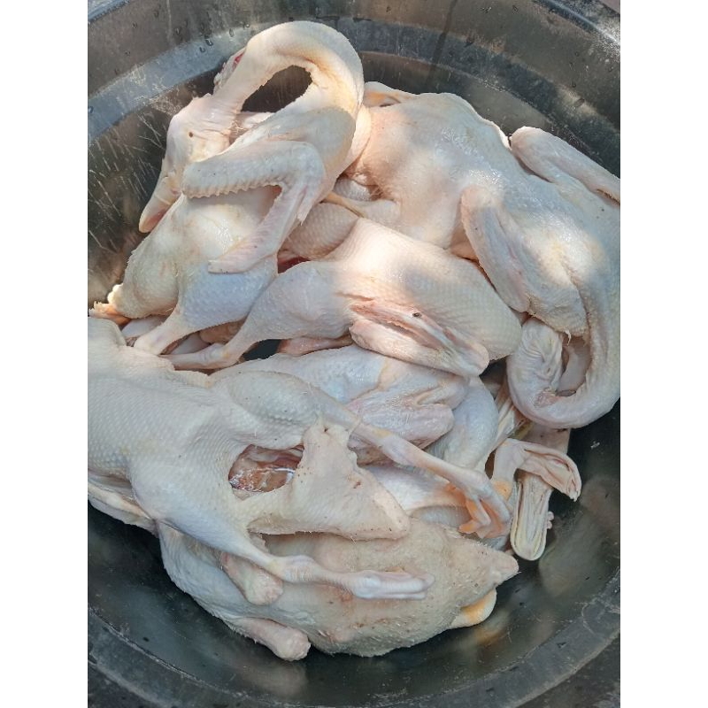 BEBEK PEKING POTONG SEGAR HALAL - DAGING MENTAH UTUH FROZEN