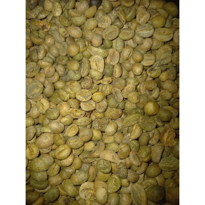 

green been kopi robusta asalan asli petani blitar