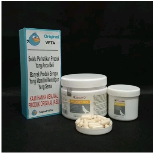 RECOVERY CAPS VERSELE LAGA BURUNG MERPATI BALAP NUTRISI OTOT PILL JAMU VERSELE LAGA IMPORT
