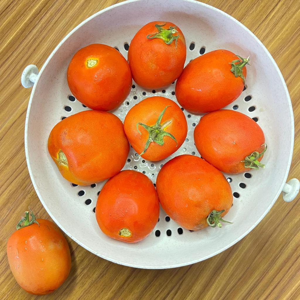 

Tomat buah F1 Blazeer 1Kg