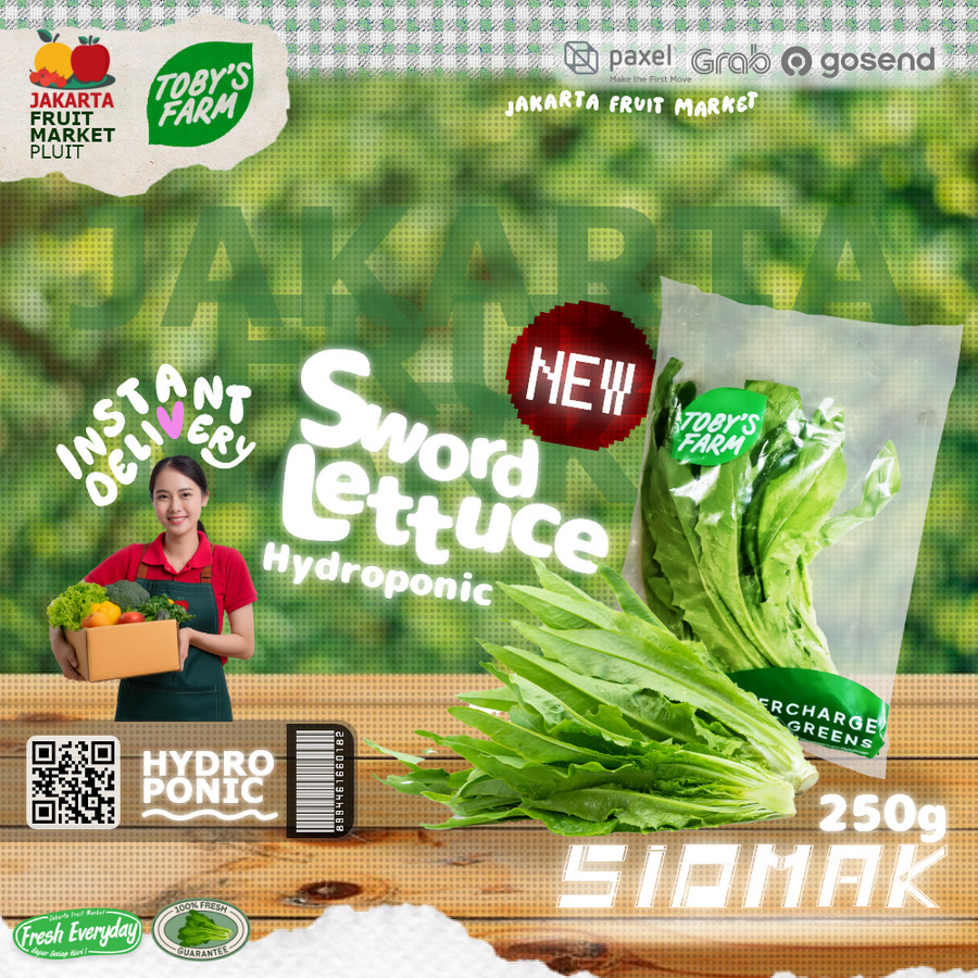 

TOBY'S FARM SIOMAK HYDOPONIC Sword Lettuce sayur fumak import selada wangi fresh tobys hidroponik