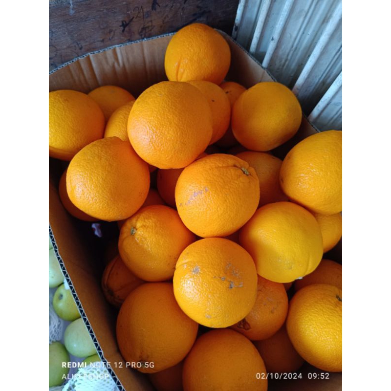 

1Kg Jeruk sunkist