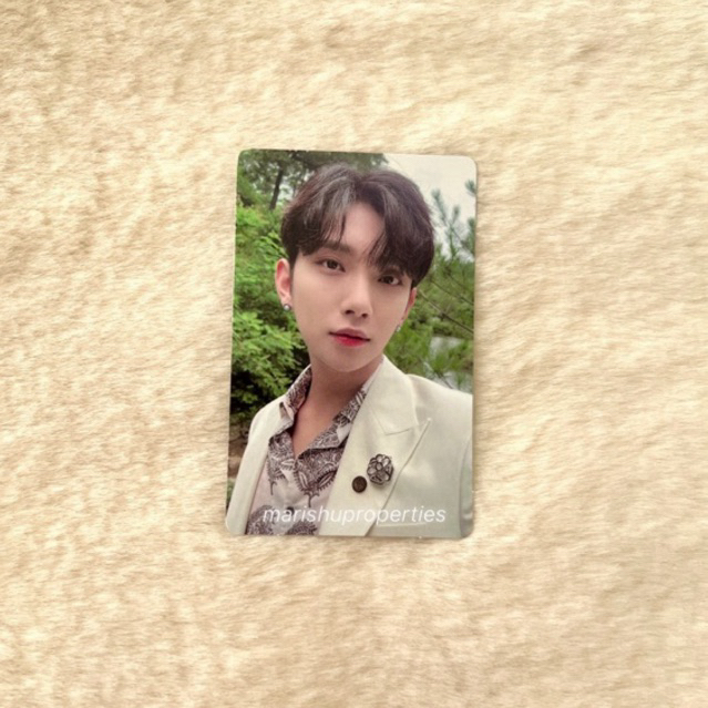 PHOTOCARD SEVENTEEN JOSHUA SOCIAL CLUB AL FINE / SOCO JAS