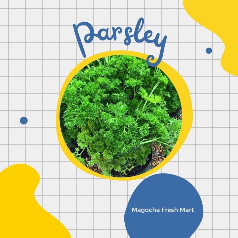 

Fresh Parsley