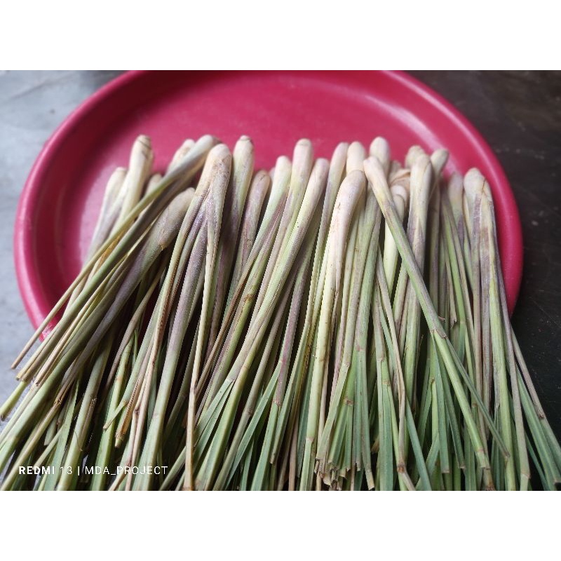 

sereh bumbu dapur 1kg, UK sedang dan kecil