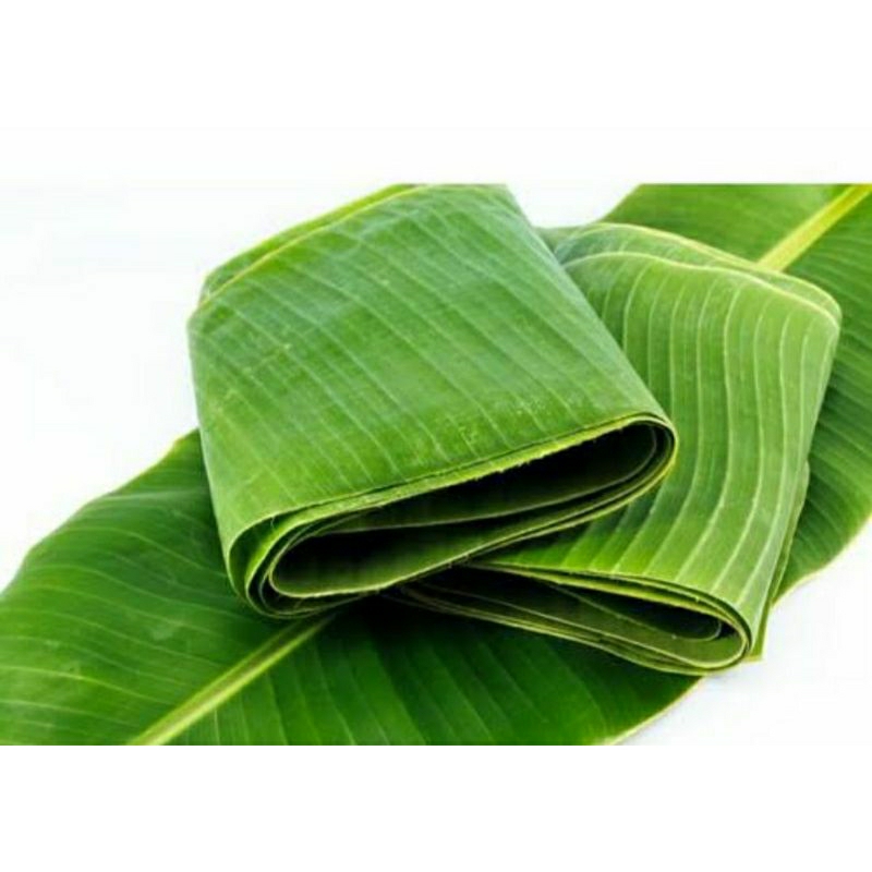 

Daun pisang fress/daun pisang pembungkus