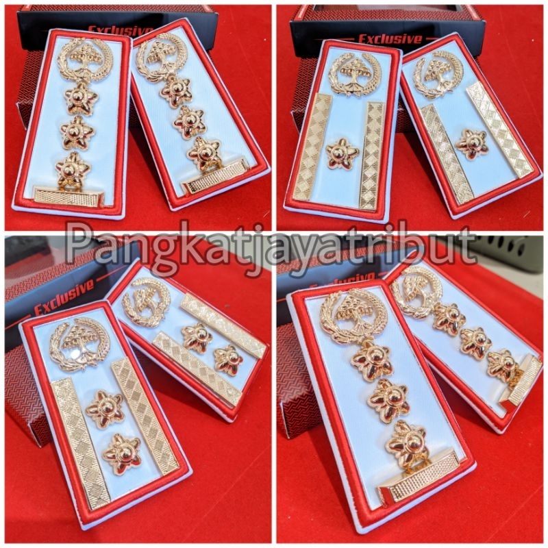 PANGKAT ASN KONAWE SELATAN GOLONGAN 3D 4A 4B  PANGKAT ASN KUALITAS EXCLUSIVE