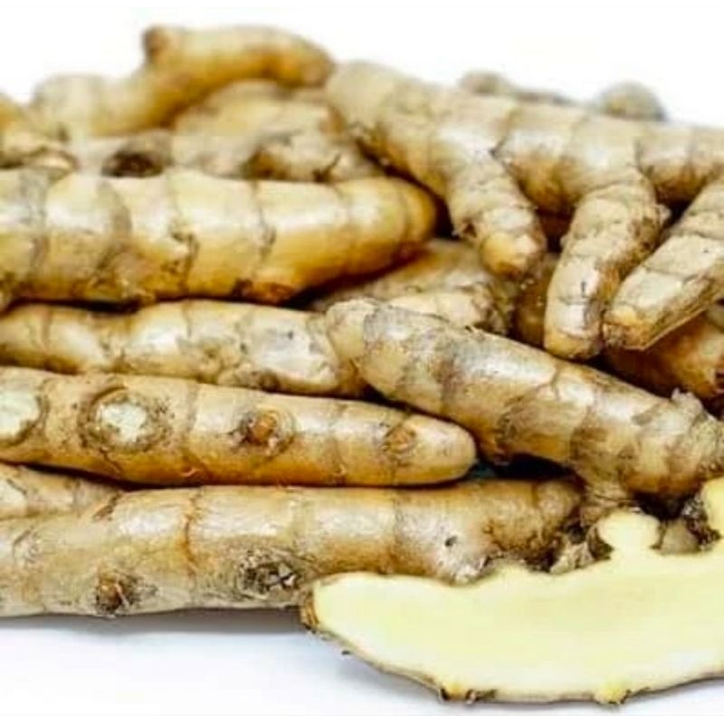 

kunyit putih segar 1kg