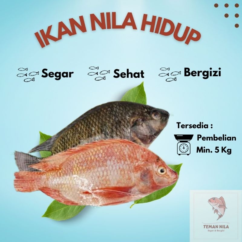 

IKAN NILA HIDUP 2 & 5 KG / DIKIRIM DENGAN OKSIGEN