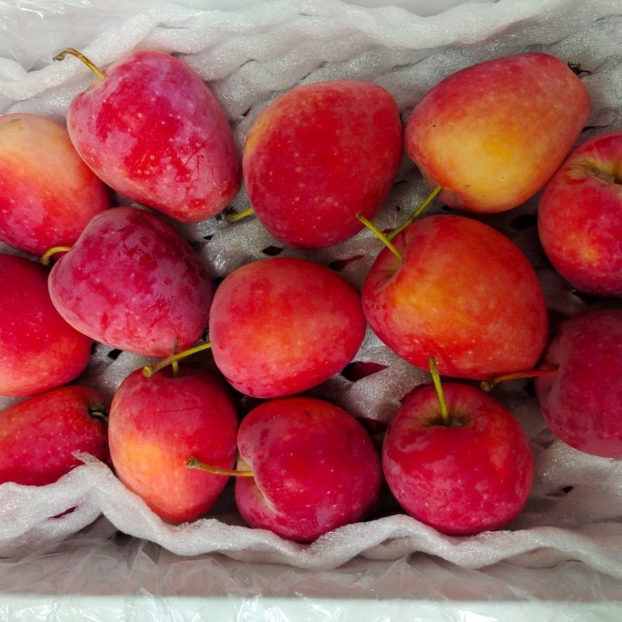 

Apel Candy | Apel Candy Cherry Mini Strawberry Apel 1 Box