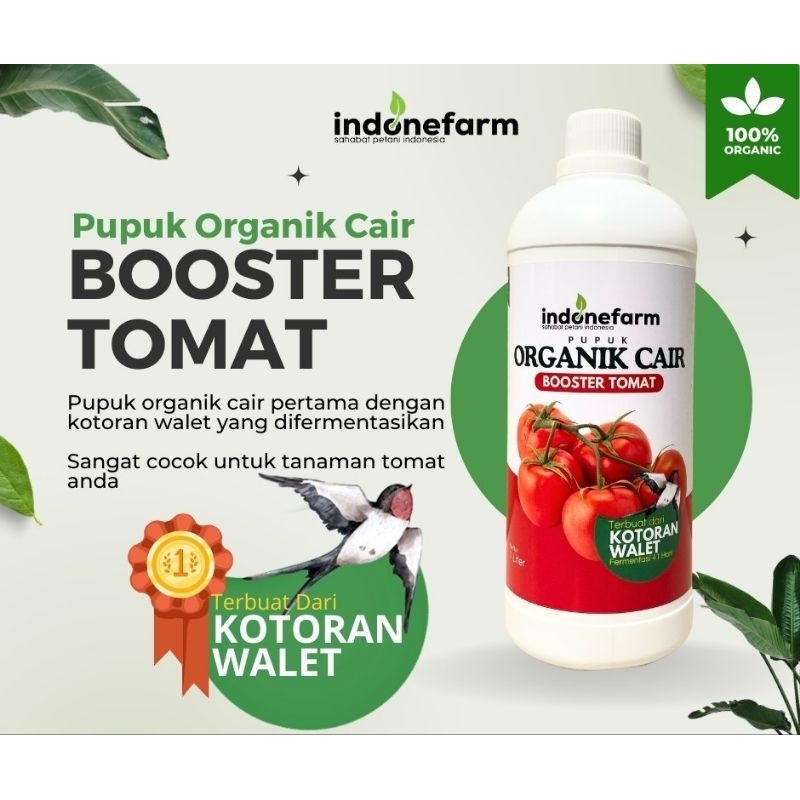 PUPUK KOTORAN WALET | COR ORGANIK TANAMAN TOMAT | Terbuat Dari Kotoran Walet Asli | Fermentasi 41 Ha