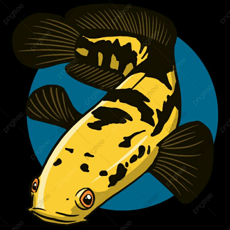 

stiker Ys Grade B isi 2