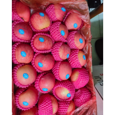 

Apel Fuji 1kg Import segar manis garing buah apple impor