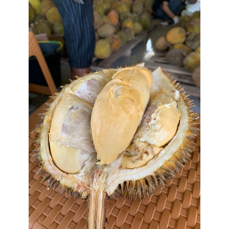 

Durian Sumatera