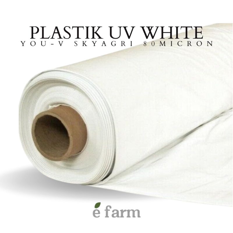 Plastik greenhouse uv white 80micron lebar 6m import