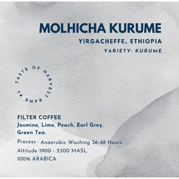 

ETHIOPIA MOLHICHA KURUME COFFEE SPECIALTY ARABICA TASTE OF HARVEST RANK #3