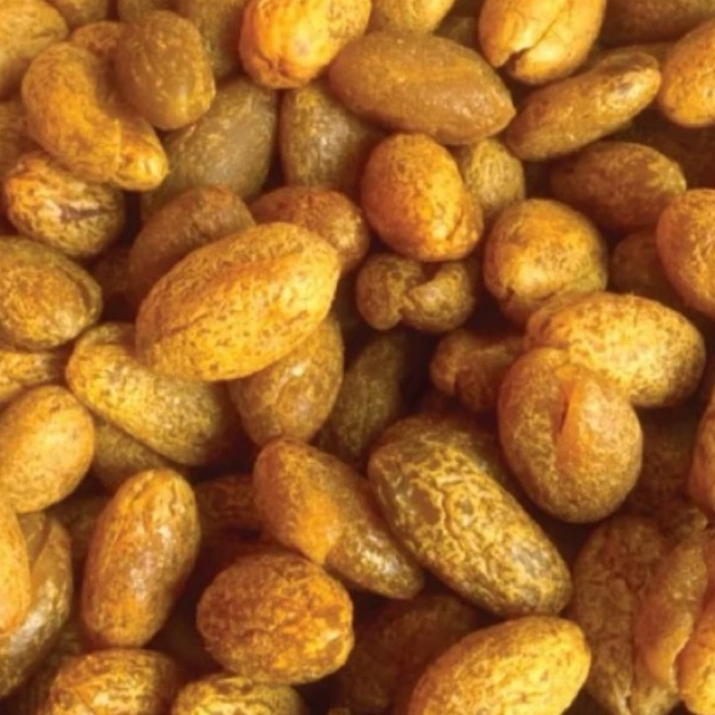 

MANISAN BUAH KANA KAMCHO TANPA BIJI BERAT 250GR
