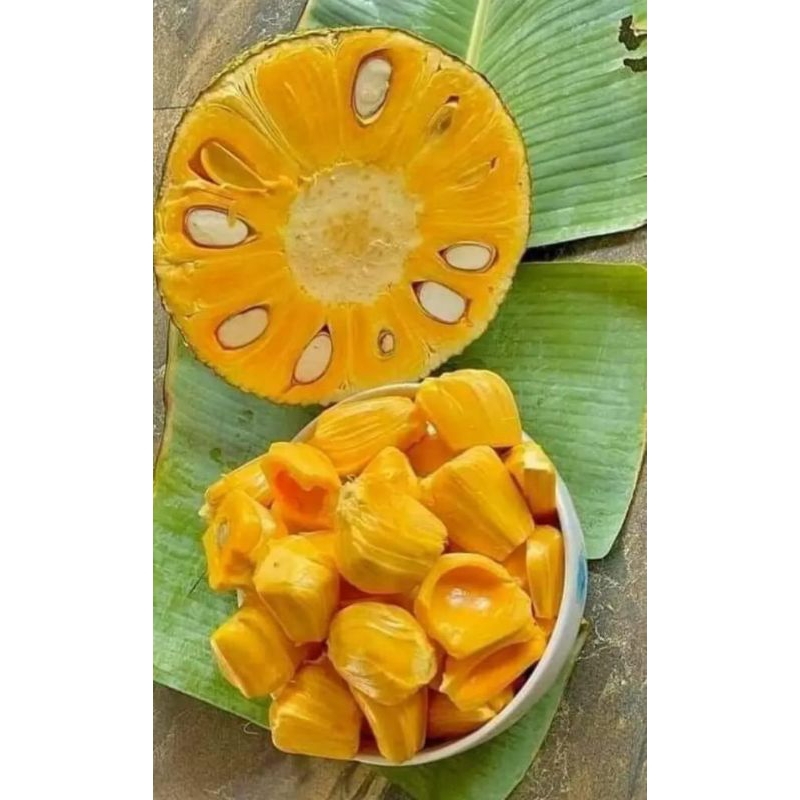

nangka madu manis dan segar 500 gram