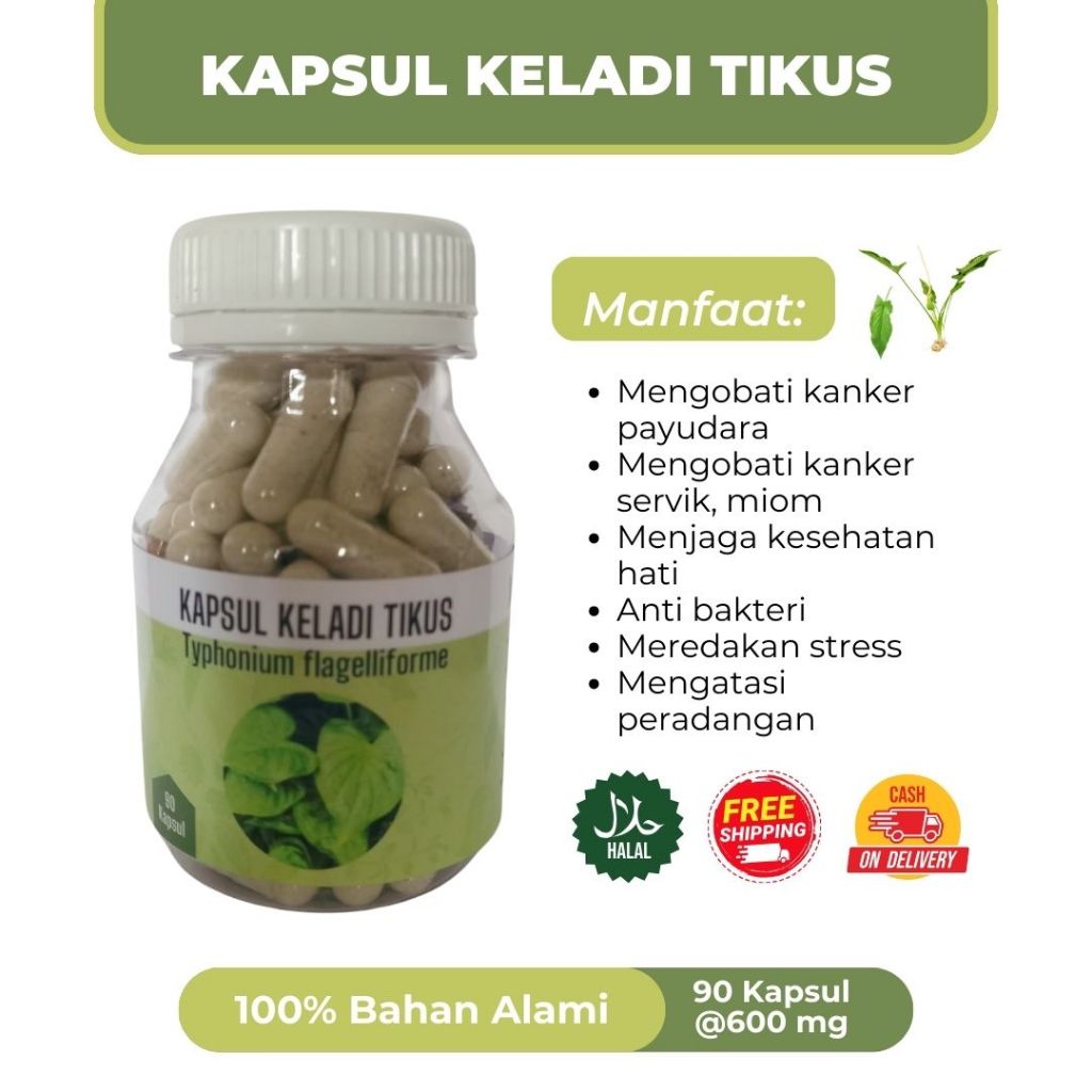 

KAPSUL KELADI TIKUS,solusi sehat atasi kanker(payu darah) , tumor, kista, miom,