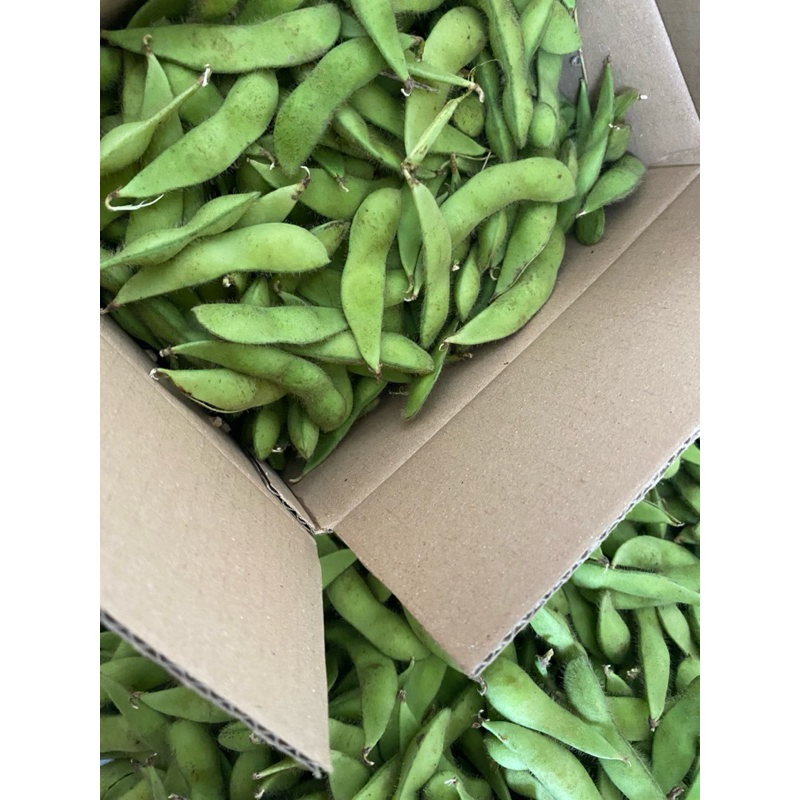

Bisa COD!!! Edamame super langsung petani 1kg