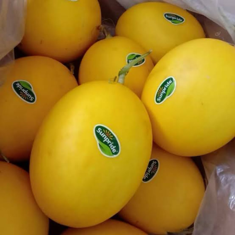 

MELON SUNPRIDE FRESS BANDUNG 1pcs