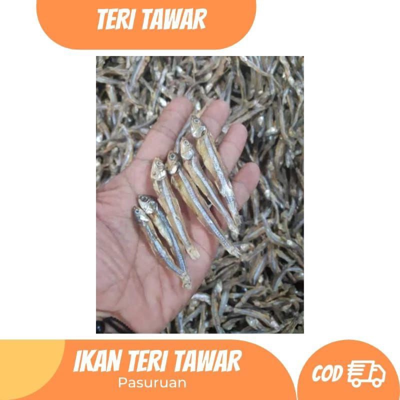 

Ikan Asin Tawar Khas Pasuruan, Kering dan Garing