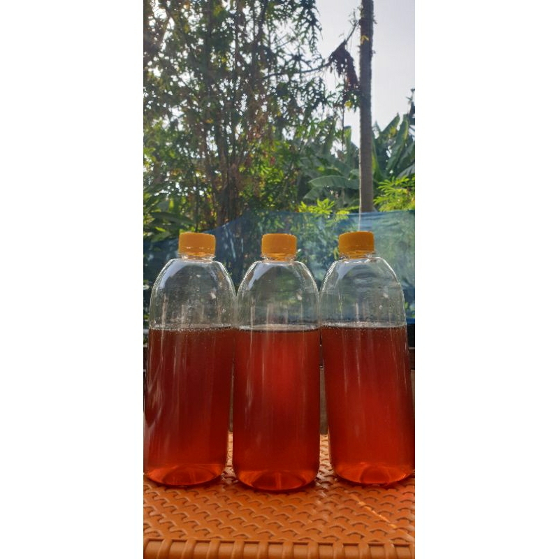 

Madu bunga kopi dan madu bunga sengon 1 liter