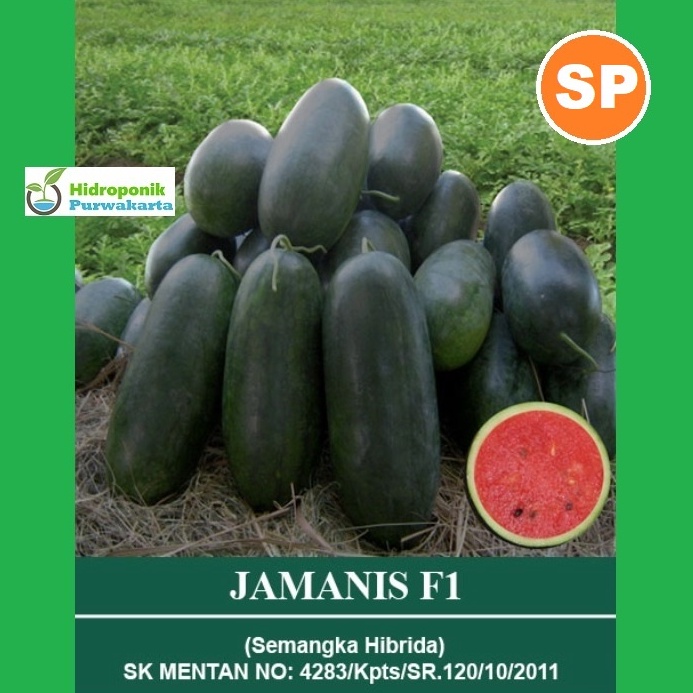 BENIH SEMANGKA HIBRIDA JAMANIS F1 TIPE INUL ISI 3 BUTIR CAP TIARA BUMI