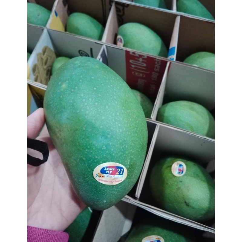 

mangga manis dan fresh