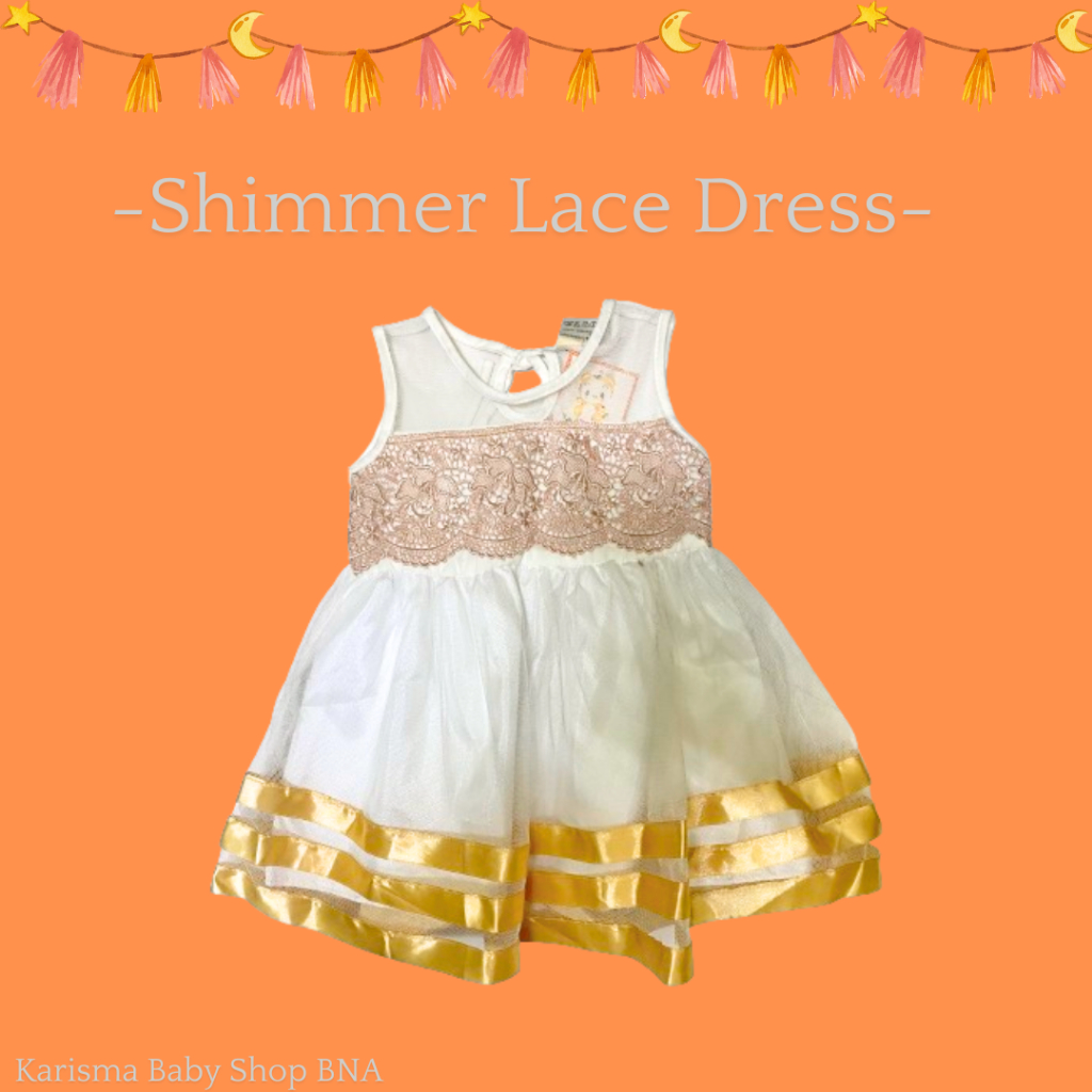 Shimmer Lace Dress