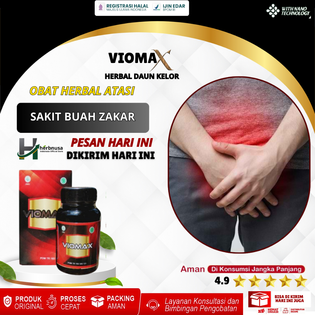 Obat Buah Zakar Bengkak - Obat Herbal Buah Zakar Bengkak - Obat Bengkak Pada Buah Zakar - Kapsul Bua