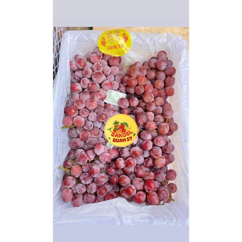 

MURAH‼️ ANGGUR RRC IMPORT