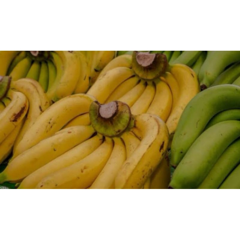 

Pisang ambon fressh (1 Sisir buah ) segar