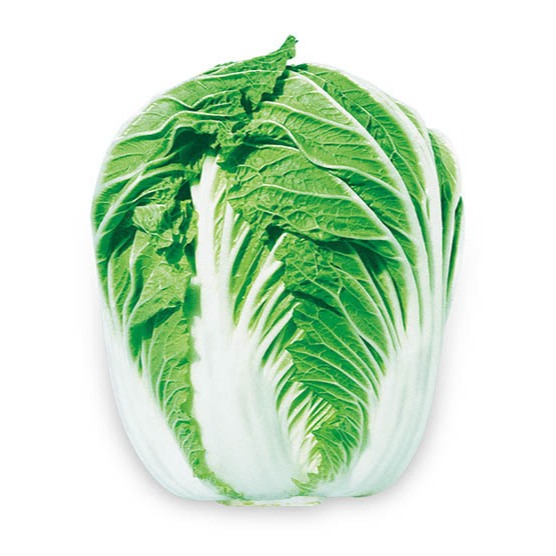 (1000 Biji) Benih Sawi Putih Mentega F1 Import